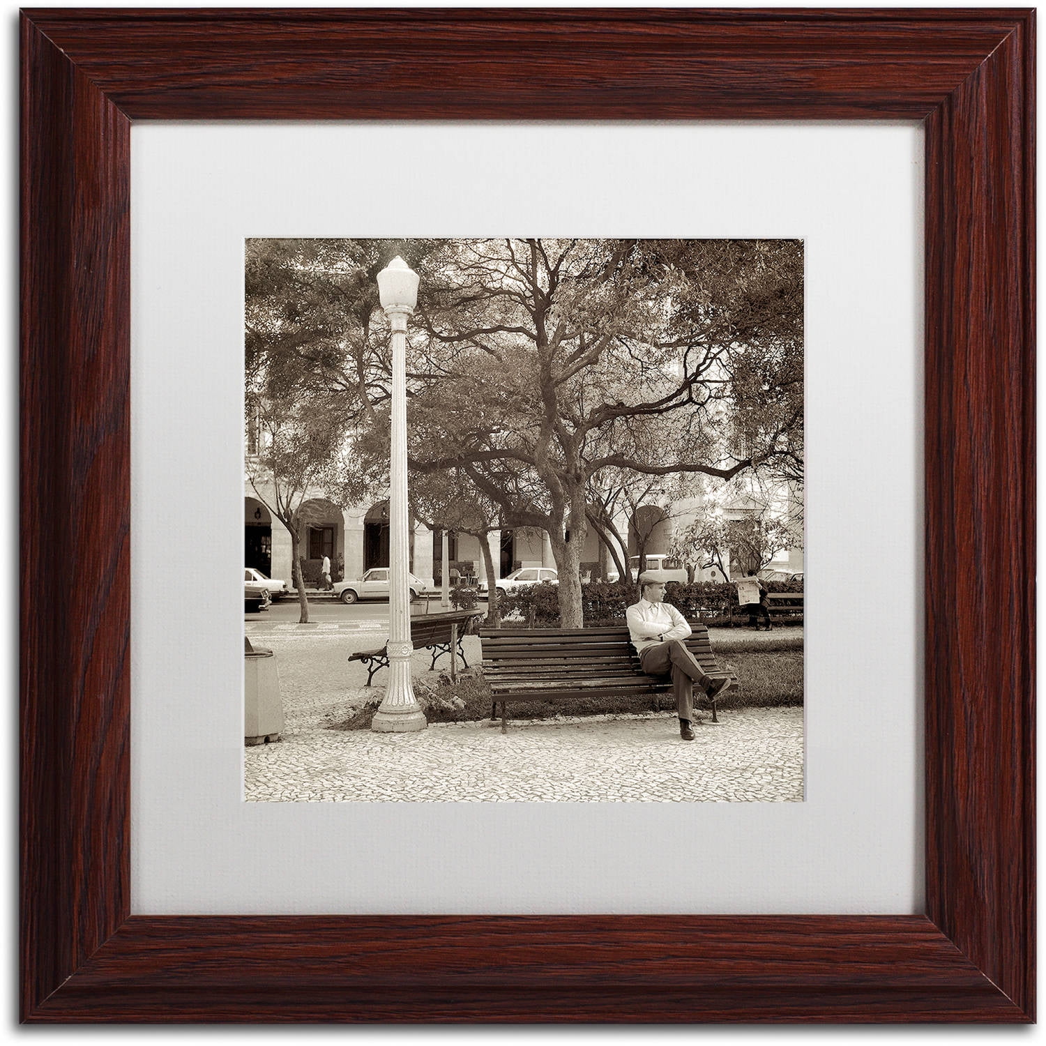 Trademark Fine Art "Faro I" Canvas Art by Alan Blaustein, White Matte, Wood Frame