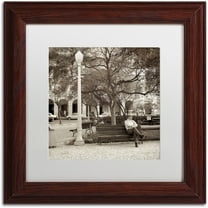 Trademark Fine Art "Faro I" Canvas Art by Alan Blaustein, White Matte, Wood Frame