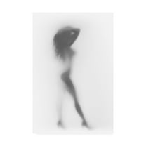 Trademark Fine Art 'Fashion Silhouette' Canvas Art by Incado
