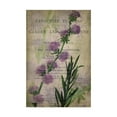 thumbnail image 1 of Trademark Fine Art 'Favorite Flowers I' Canvas Art by John Butler, 1 of 4