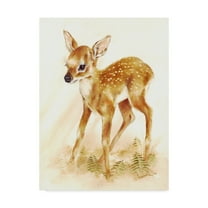 Trademark Fine Art 'Fawn' Canvas Art by Peggy Harris