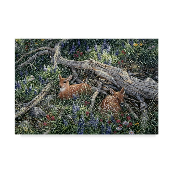 Trademark Fine Art 'Fawns And Flowers' Canvas Art by Jeff Tift