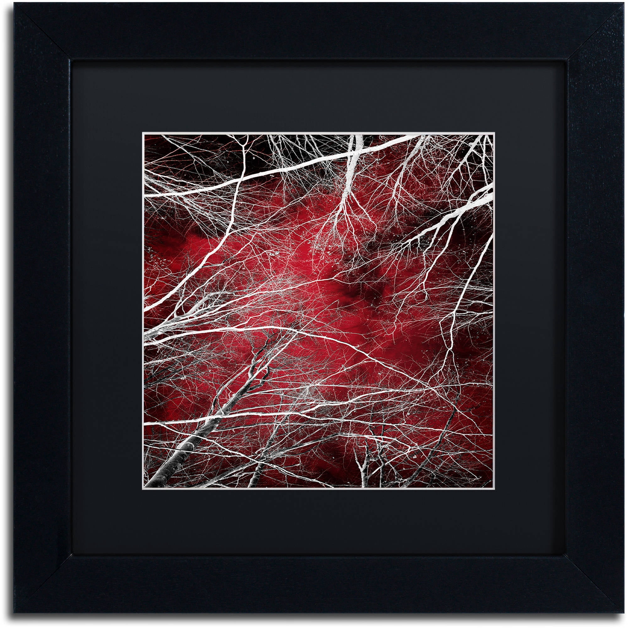 Trademark Fine Art "Fear" Canvas Art by Philippe Sainte-Laudy Black Matte, Black Frame