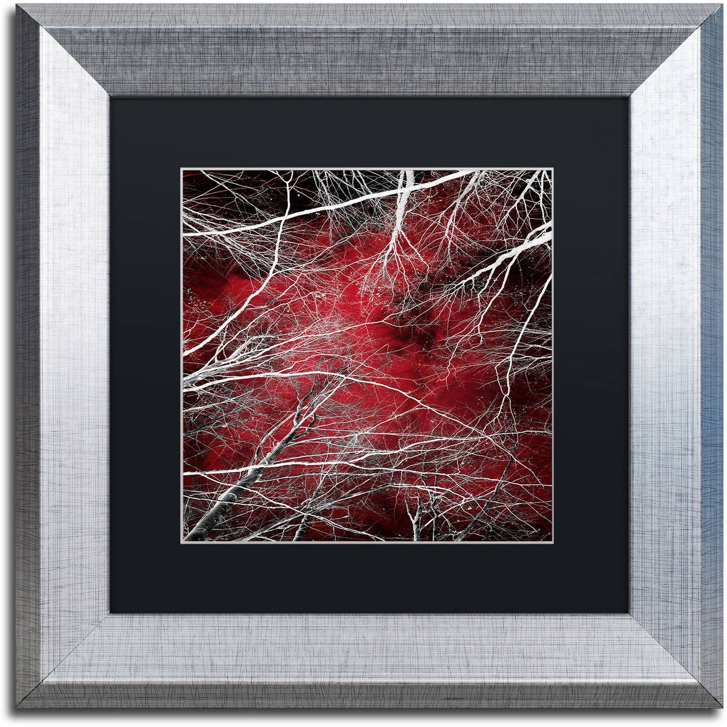 Trademark Fine Art "Fear" Canvas Art by Philippe Sainte-Laudy Black Matte, Silver Frame