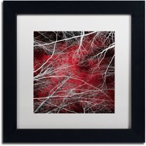 Trademark Fine Art "Fear" Canvas Art by Philippe Sainte-Laudy White Matte, Black Frame