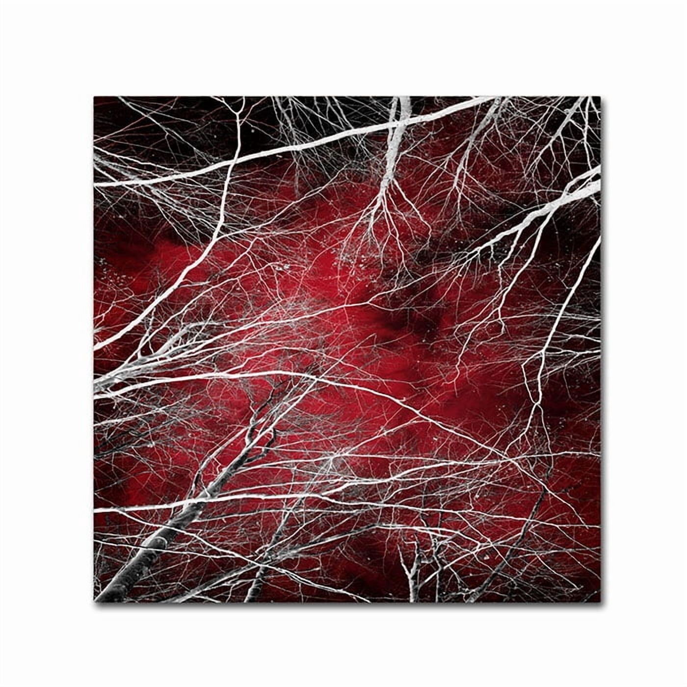 Trademark Fine Art "Fear" Canvas Art by Philippe Sainte-Laudy