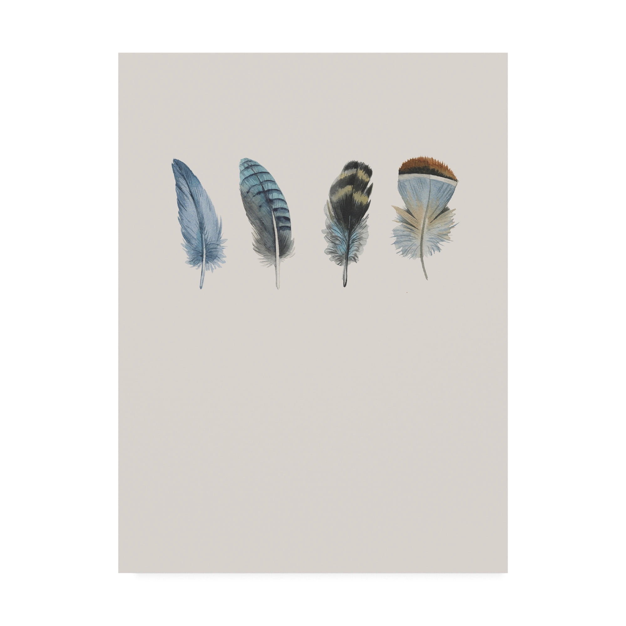 Trademark Fine Art 'Feather 11' Canvas Art by Incado
