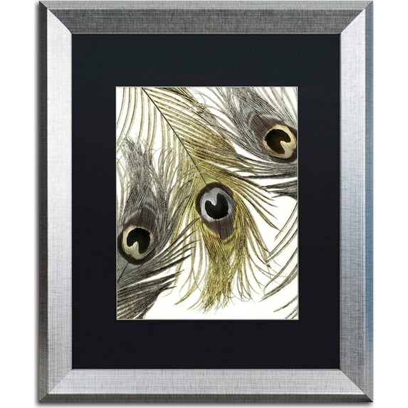 Trademark Fine Art "Feather Fashion I" Canvas Art by Color Bakery, Black Matte, Silver Frame