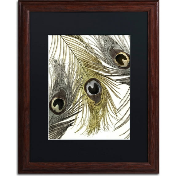 Trademark Fine Art "Feather Fashion I" Canvas Art by Color Bakery, Black Matte, Wood Frame