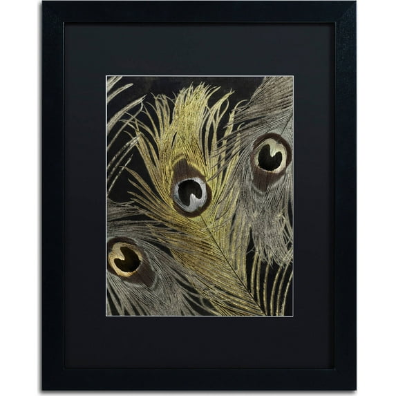 Trademark Fine Art "Feather Fashion II" Canvas Art by Color Bakery, Black Matte, Black Frame