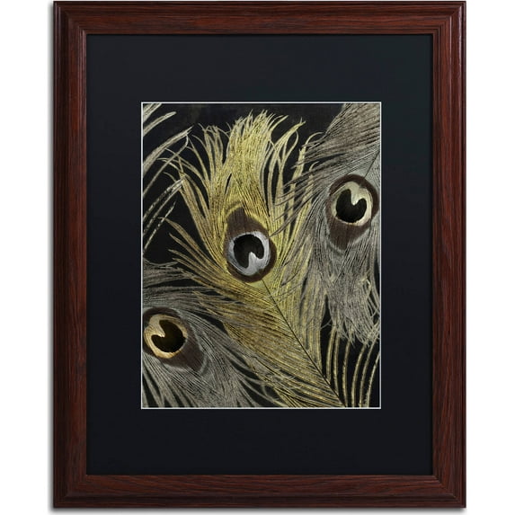 Trademark Fine Art "Feather Fashion II" Canvas Art by Color Bakery, Black Matte, Wood Frame