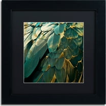 Trademark Fine Art "Feather Glitter" Canvas Art by Color Bakery, Black Matte, Black Frame