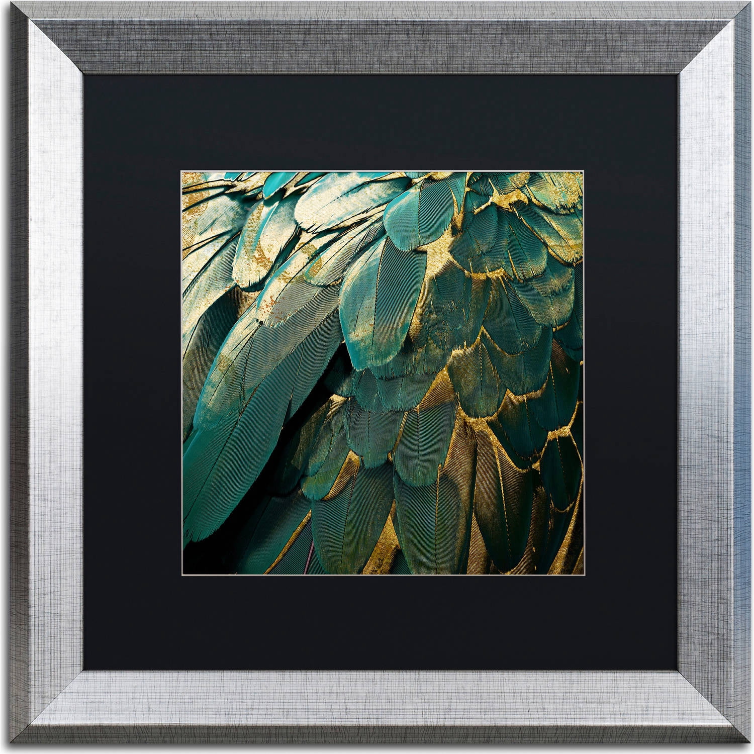 Trademark Fine Art "Feather Glitter" Canvas Art by Color Bakery, Black Matte, Silver Frame