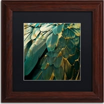 Trademark Fine Art "Feather Glitter" Canvas Art by Color Bakery, Black Matte, Wood Frame