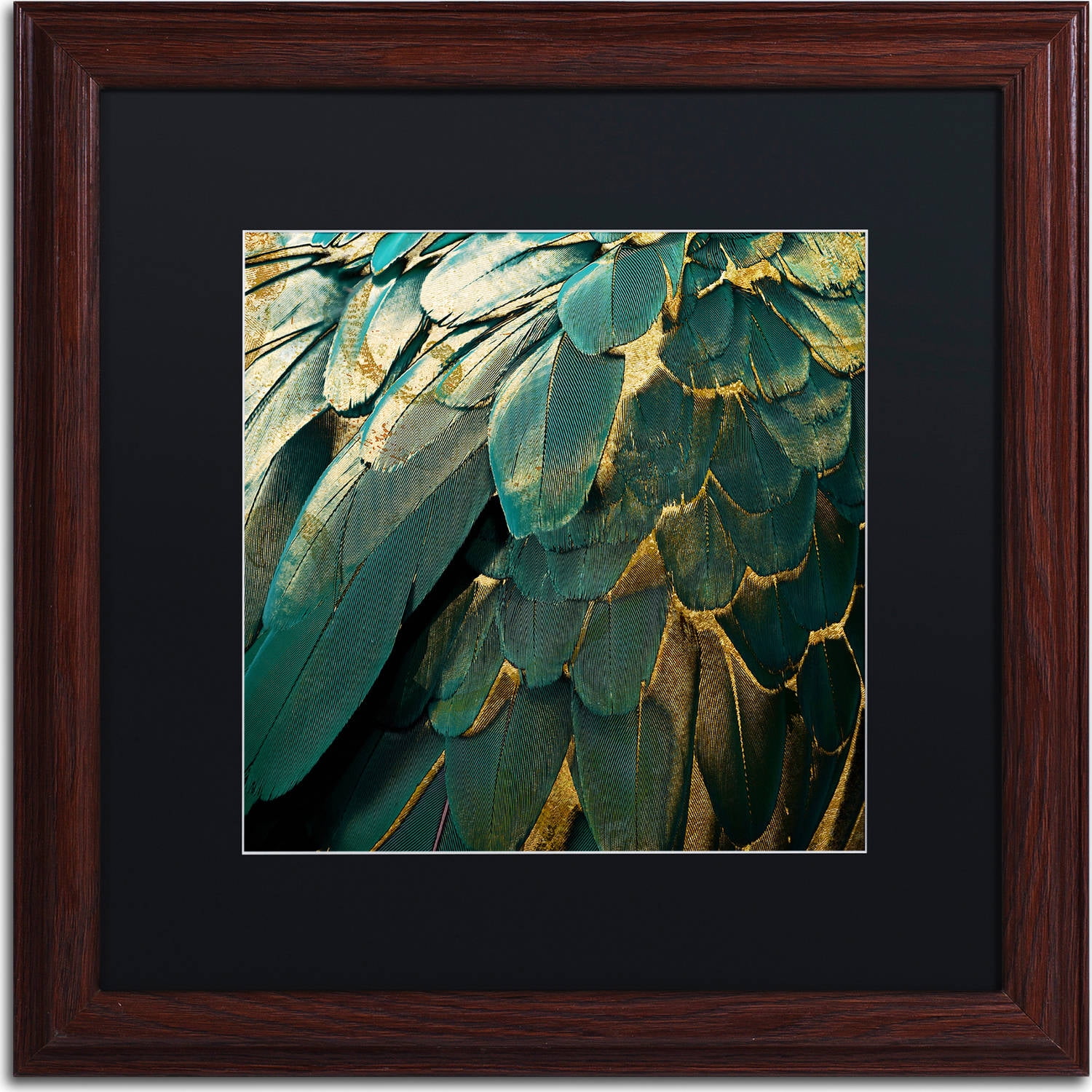 Trademark Fine Art "Feather Glitter" Canvas Art by Color Bakery, Black Matte, Wood Frame