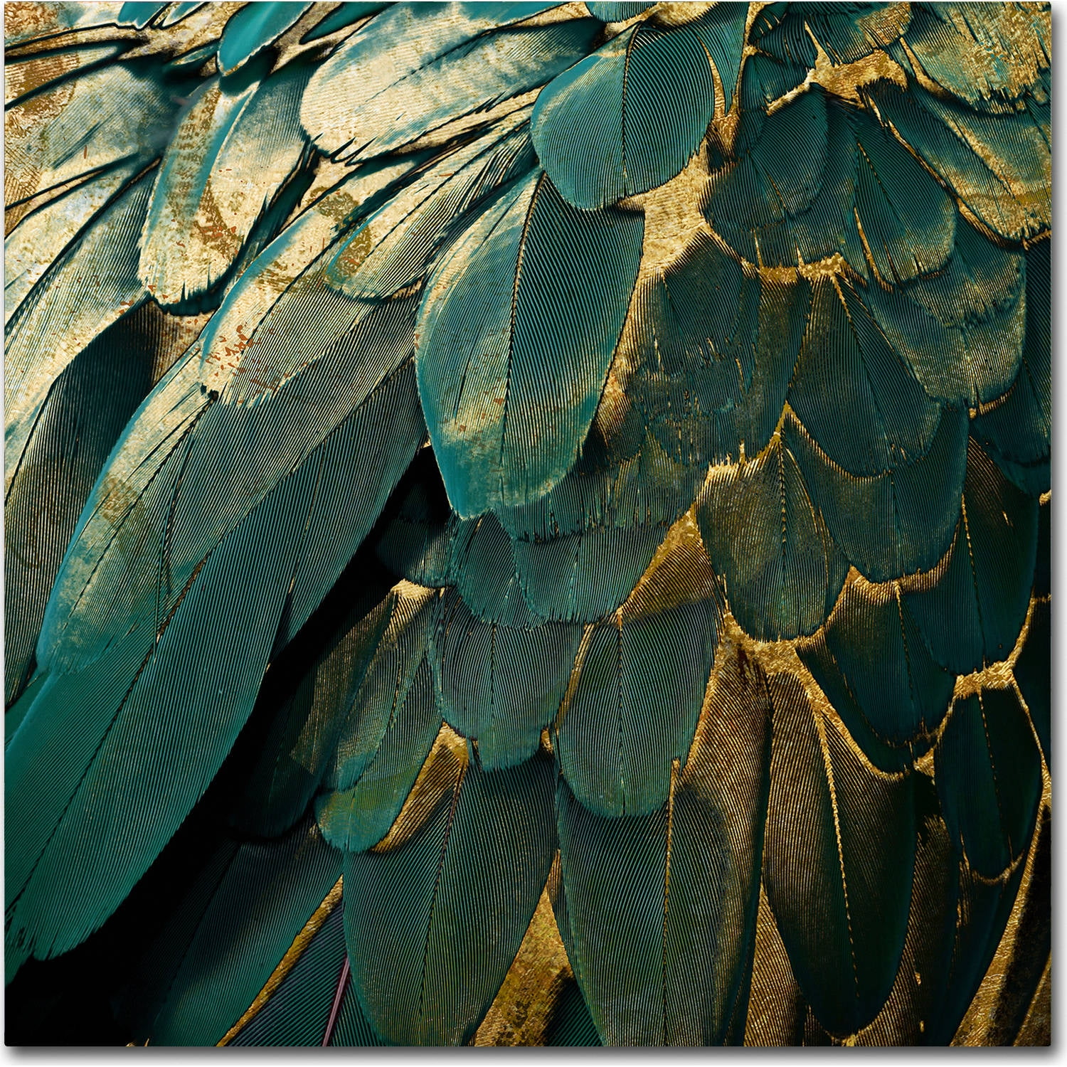 Trademark Fine Art "Feather Glitter" Canvas Art by Color Bakery