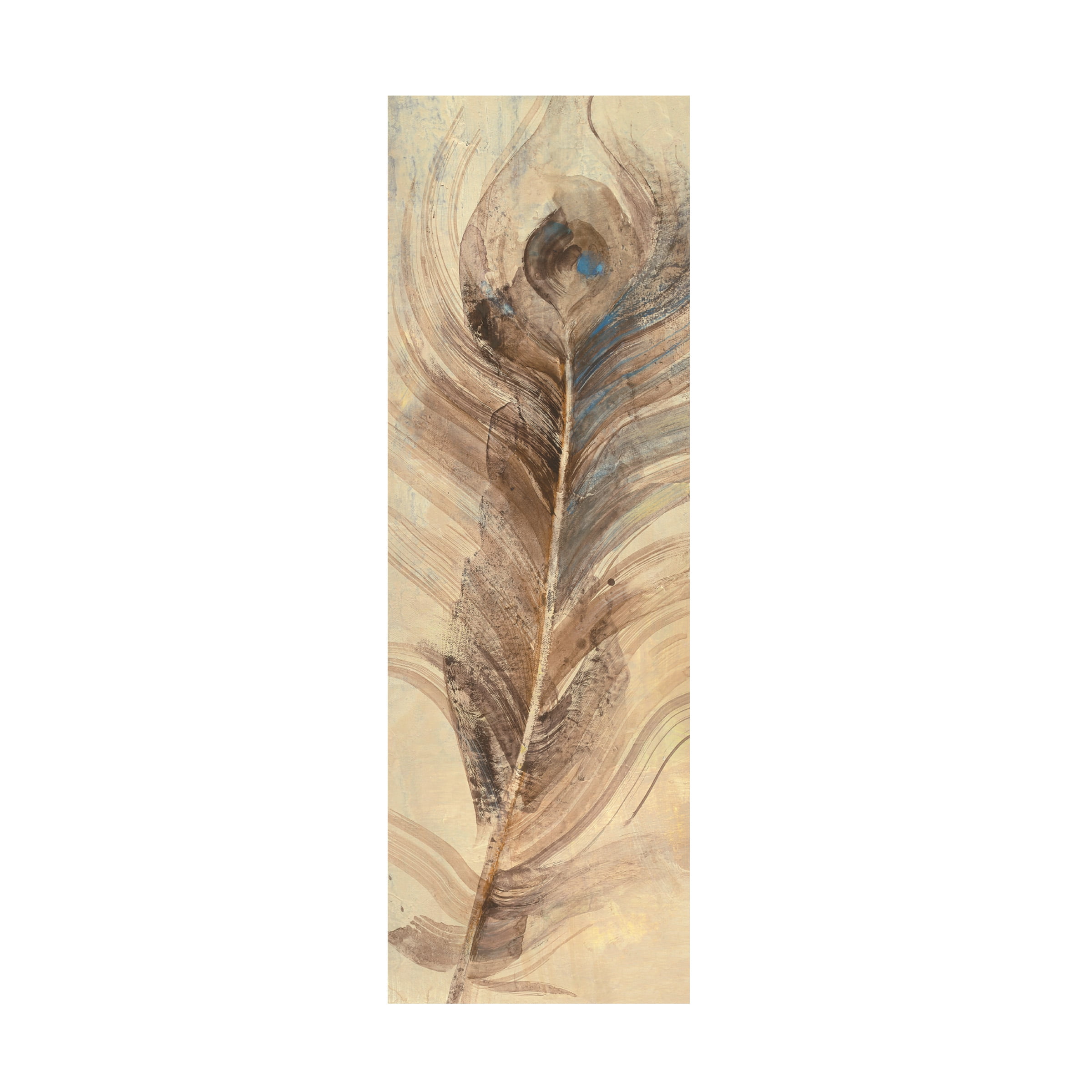 Trademark Fine Art 'Feather Study Single Feather' Canvas Art by Albena Hristova