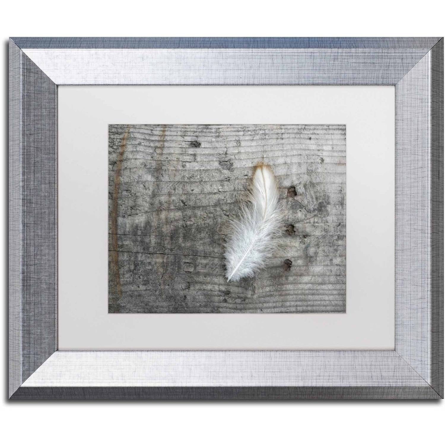 Trademark Fine Art 'Feather on Rough Wood' Canvas Art by Cora Niele, White Matte, Silver Frame
