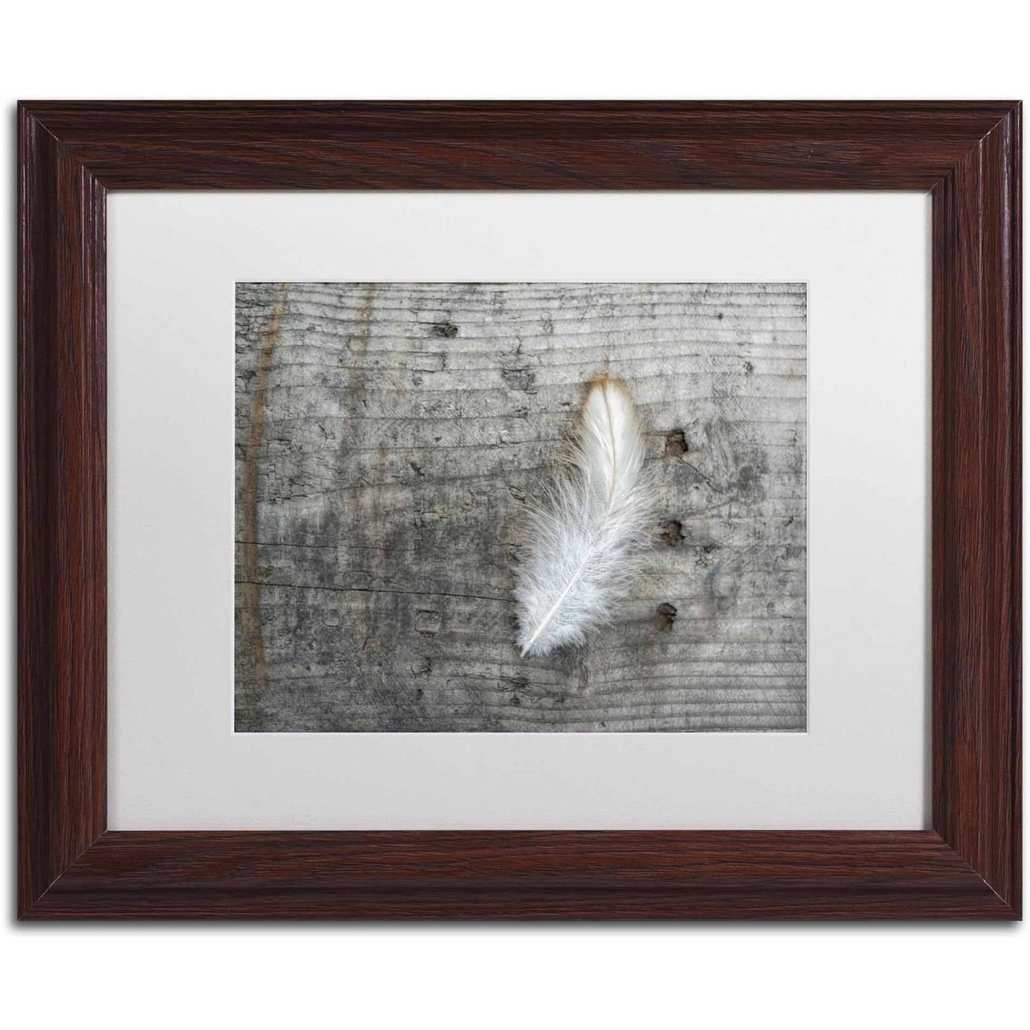 Trademark Fine Art 'Feather on Rough Wood' Canvas Art by Cora Niele, White Matte, Wood Frame
