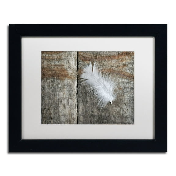 Trademark Fine Art 'Feather on Wood II' Canvas Art by Cora Niele, White Matte, Black Frame