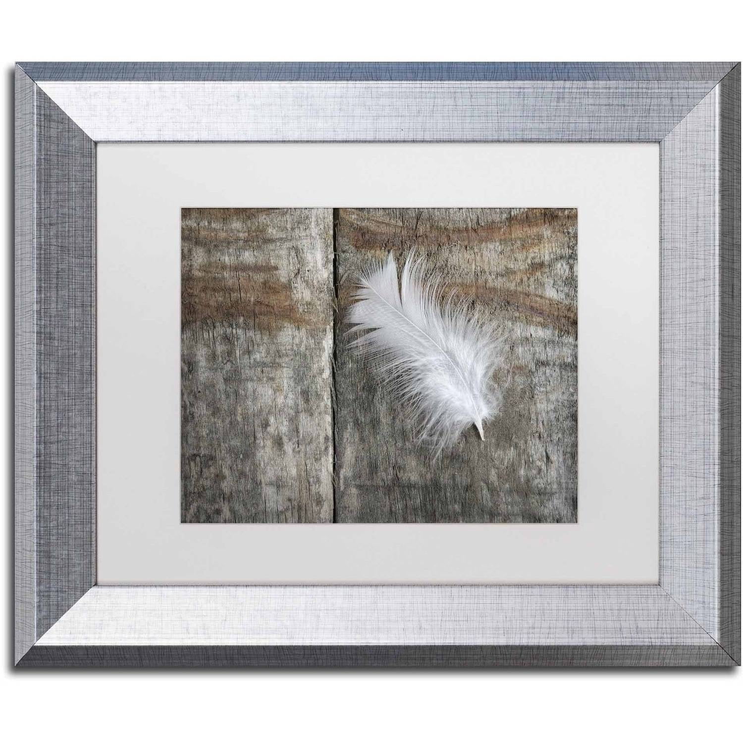 Trademark Fine Art 'Feather on Wood II' Canvas Art by Cora Niele, White Matte, Silver Frame