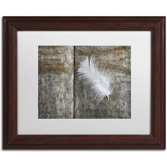 Trademark Fine Art 'Feather on Wood II' Canvas Art by Cora Niele, White Matte, Wood Frame