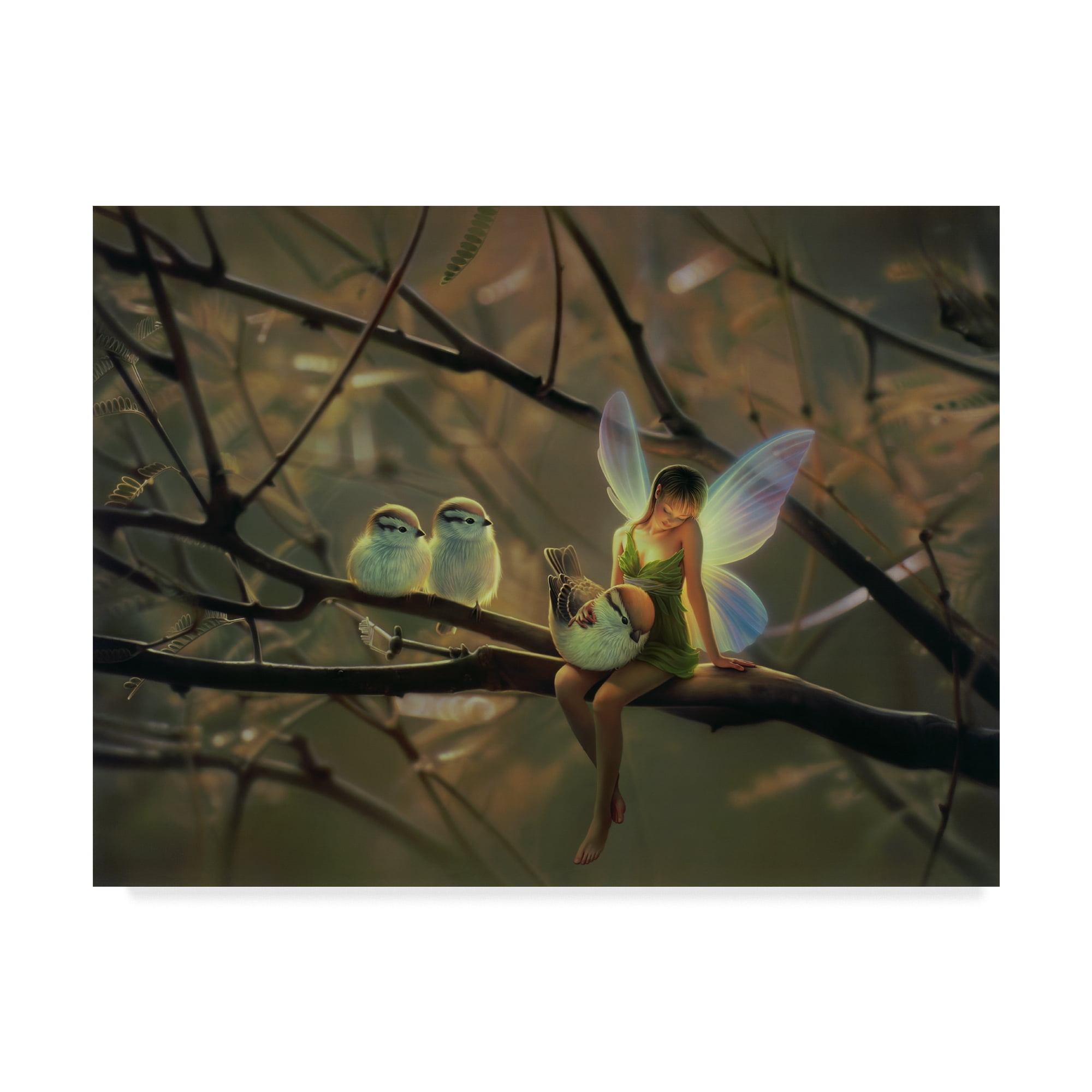 Trademark Fine Art 'Feathered Friends' Canvas Art by Kirk Reinert