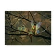 thumbnail image 1 of Trademark Fine Art 'Feathered Friends' Canvas Art by Kirk Reinert, 1 of 3