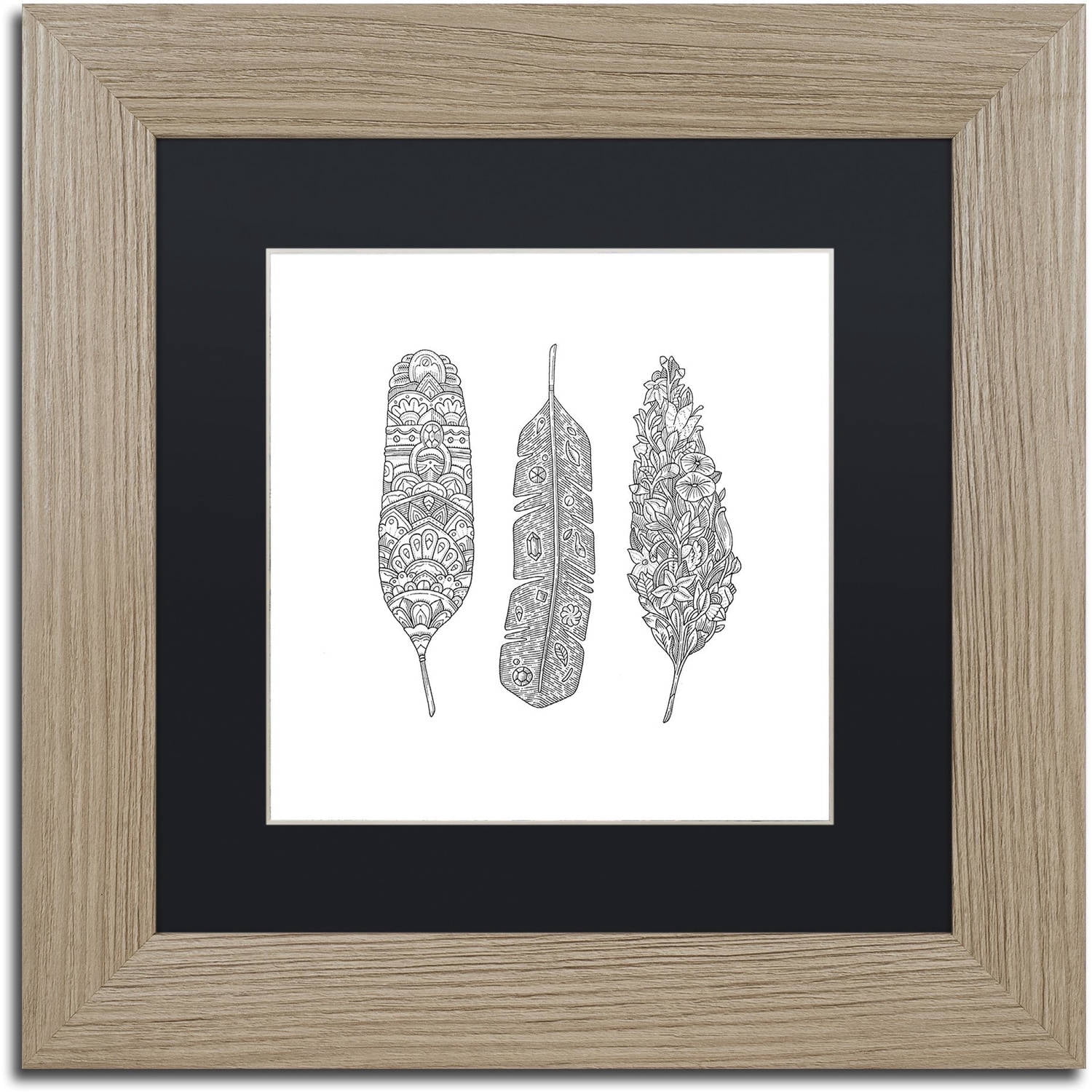 Trademark Fine Art 'Feathers' Canvas Art by Filippo Cardu Black Matte, Birch Frame