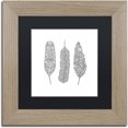 thumbnail image 1 of Trademark Fine Art 'Feathers' Canvas Art by Filippo Cardu Black Matte, Birch Frame, 1 of 1