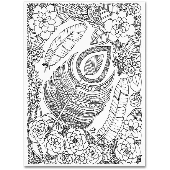 Trademark Fine Art 'Feathers' Canvas Art by KCDoodleArt