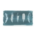 thumbnail image 1 of Trademark Fine Art 'Feathers on Dusty Teal I' Canvas Art by Grace Popp, 1 of 4