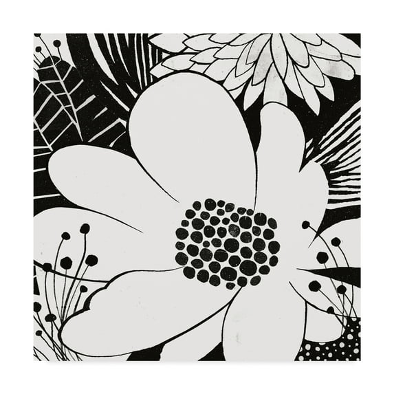 Trademark Fine Art 'Feeling Groovy II Black and White' Canvas Art by Michael Mullan