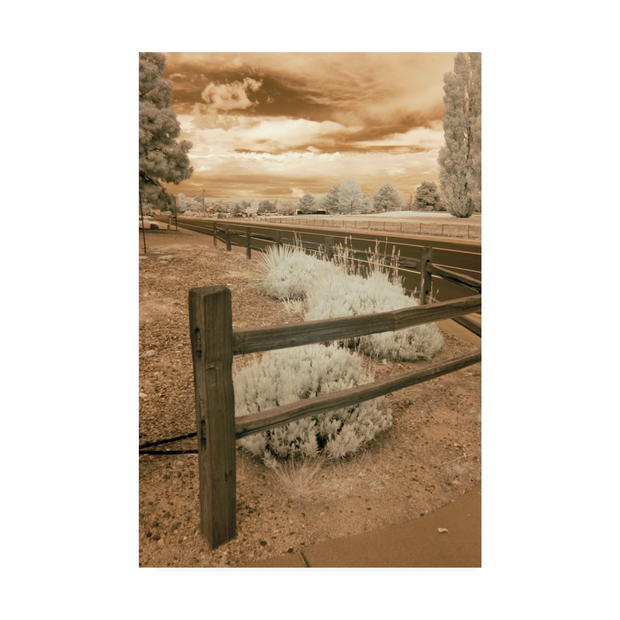 Trademark Fine Art 'Fence And Road Albuquerque New Mexico' Canvas Art by Monte Nagler