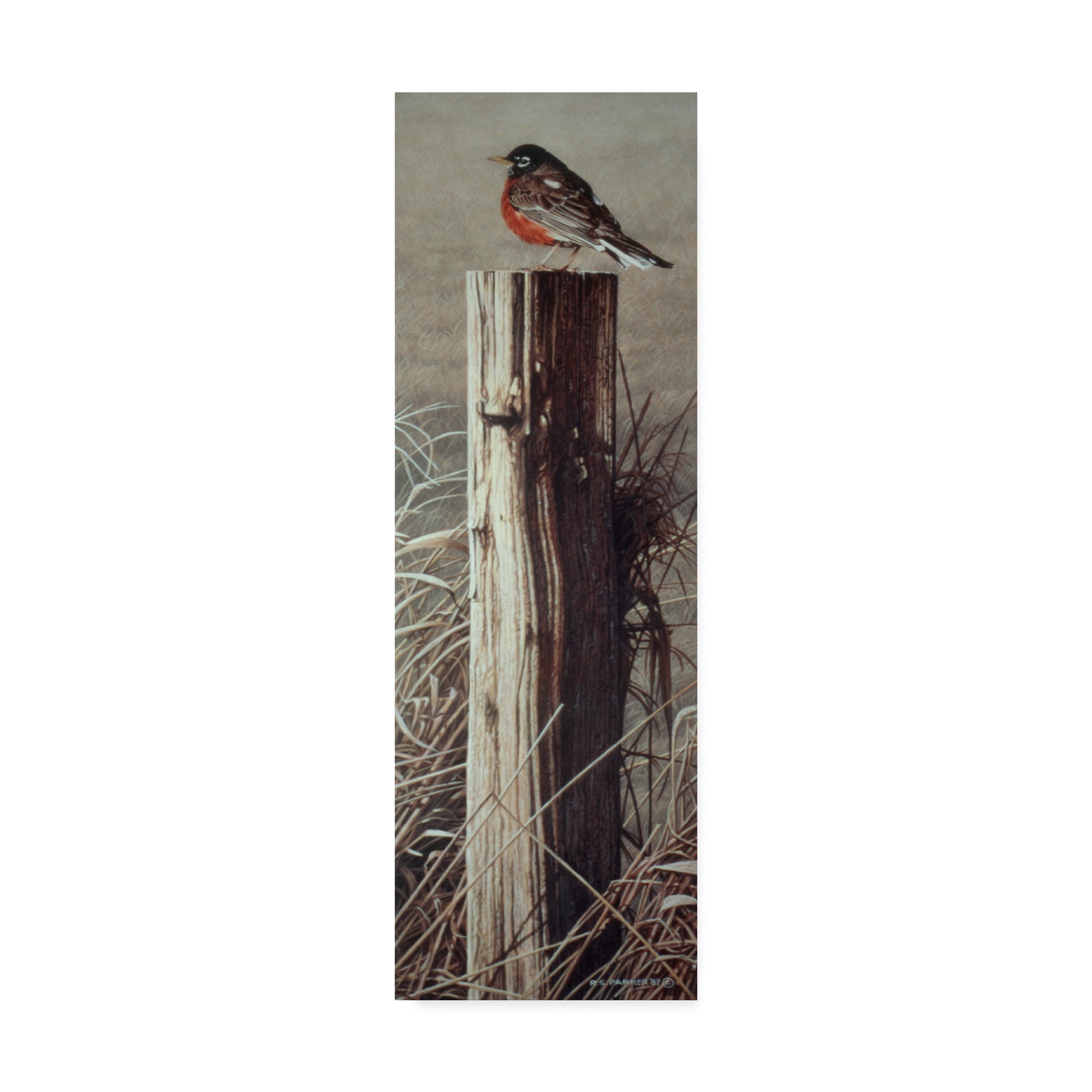 Trademark Fine Art 'Fence Post' Canvas Art by Ron Parker
