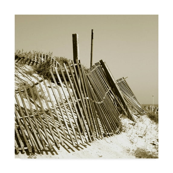 Trademark Fine Art 'Fences in the Sand I' Canvas Art by Noah Bay
