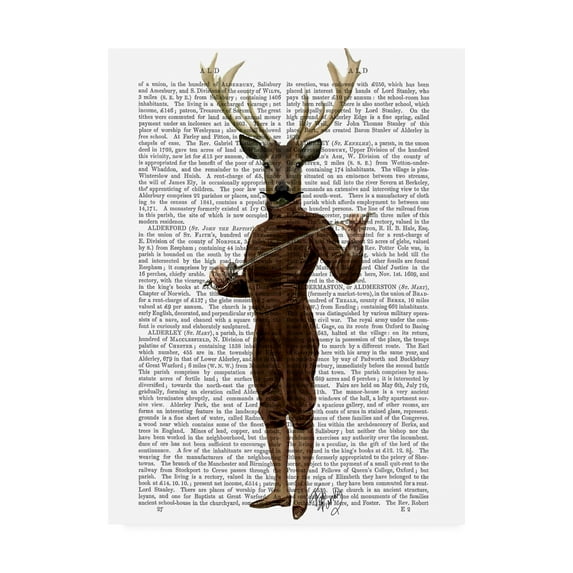 Trademark Fine Art 'Fencing Deer, Full Sabre' Canvas Art by Fab Funky