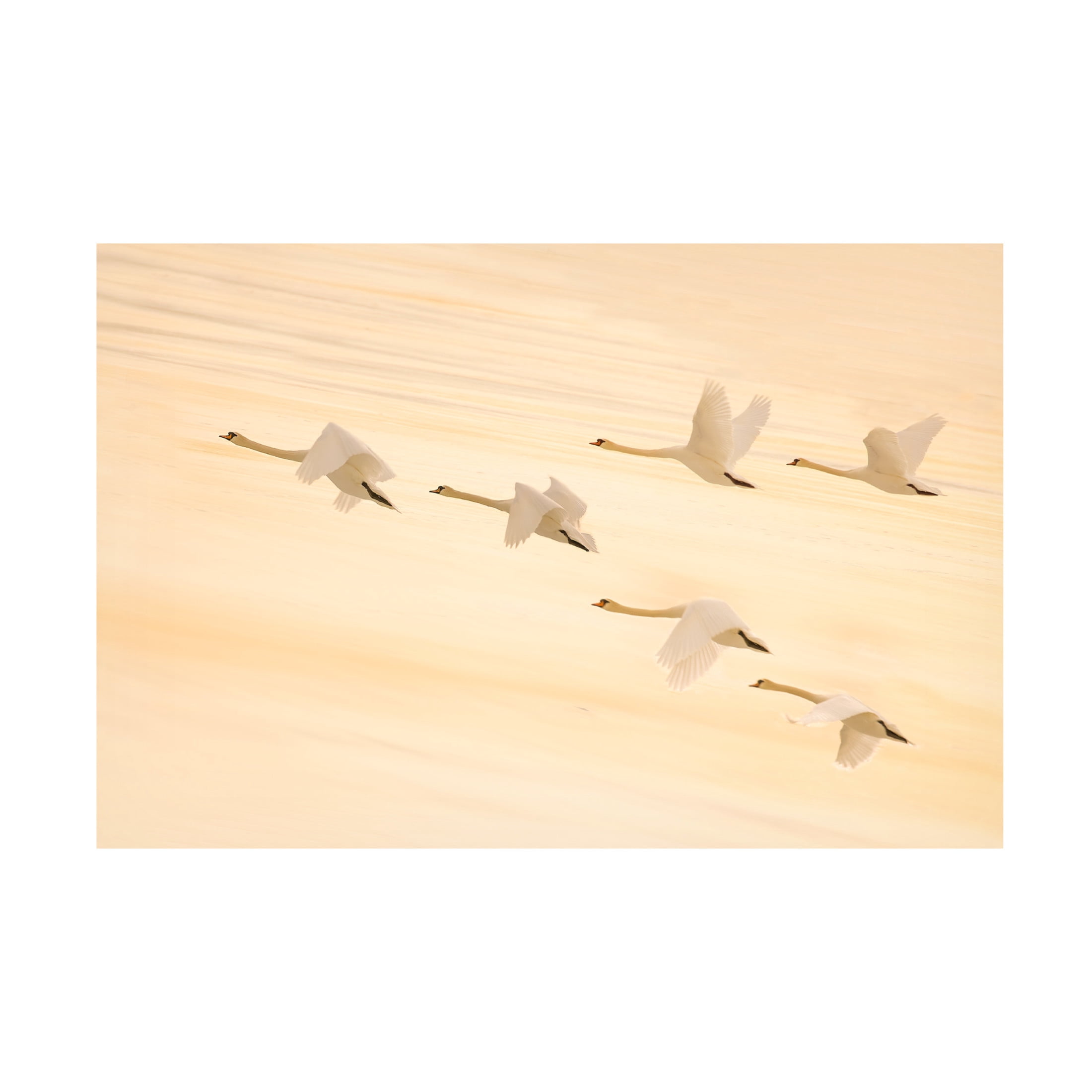 Trademark Fine Art Feng Qin Group Dancing Canvas Wall Art