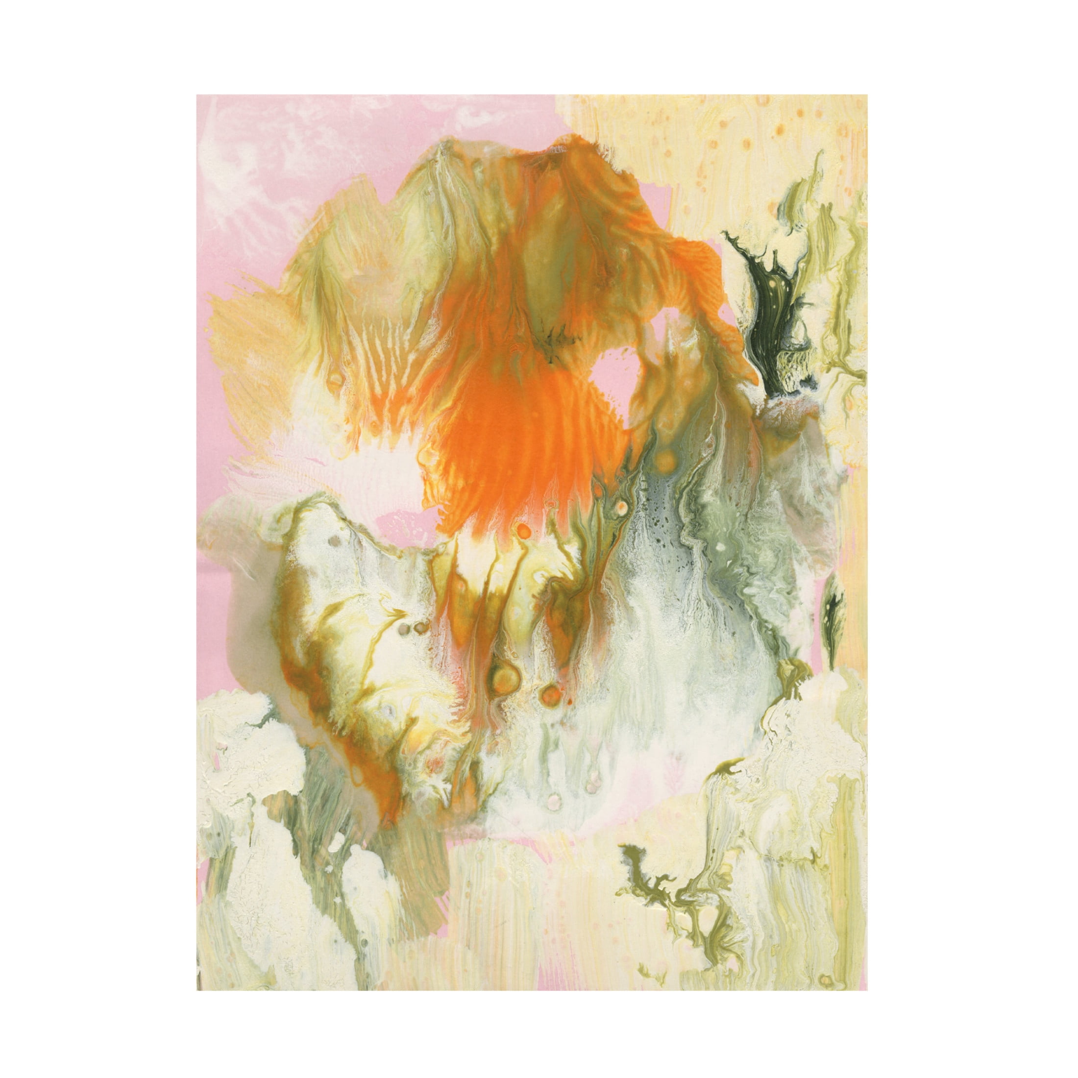 Trademark Fine Art Ferdos Maleki Sleeping Beauty I Canvas Wall Art