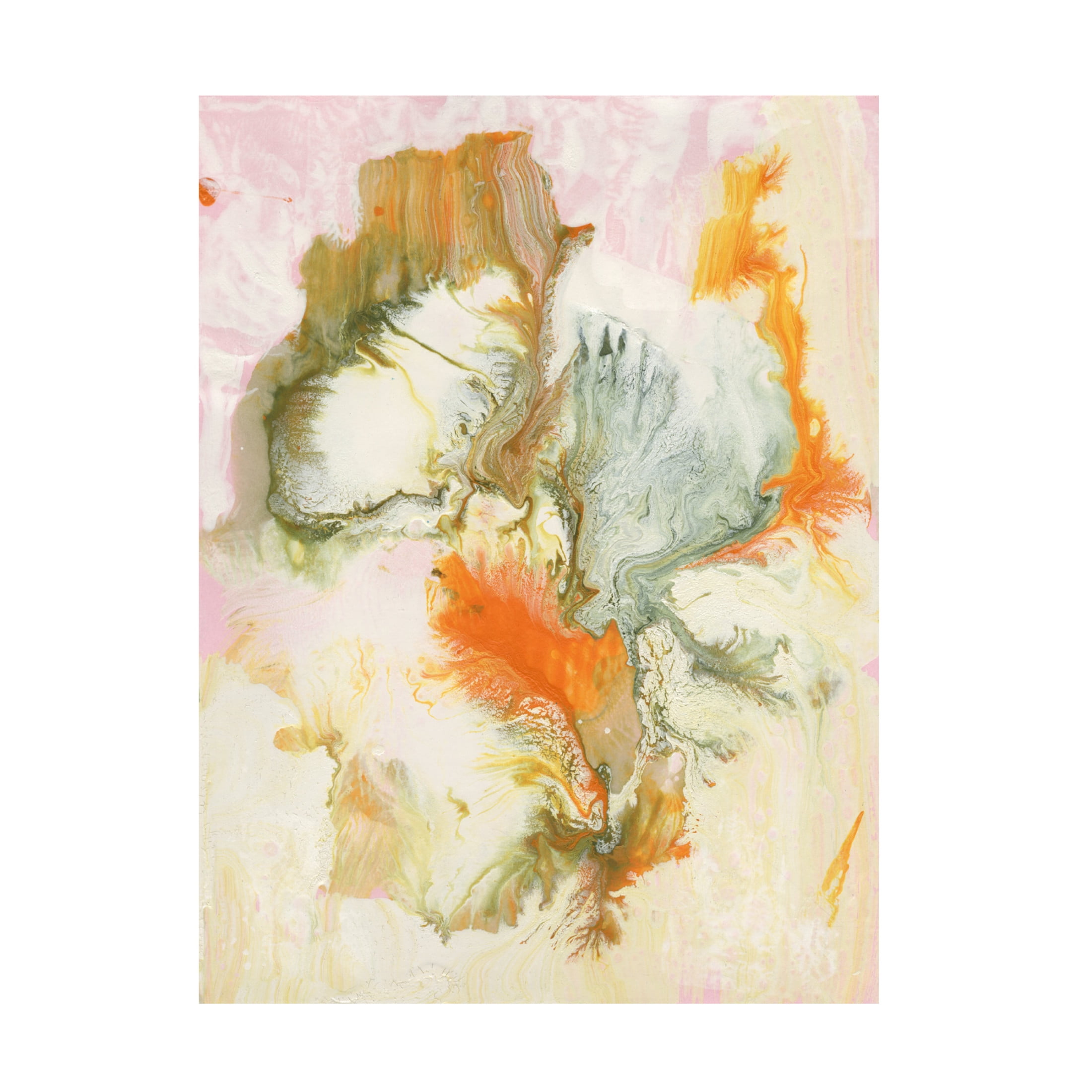 Trademark Fine Art Ferdos Maleki Sleeping Beauty II Canvas Wall Art