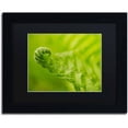 thumbnail image 1 of Trademark Fine Art 'Fern Curl' Canvas Art by PIPA Fine Art, Black Matte, Black Frame, 1 of 1