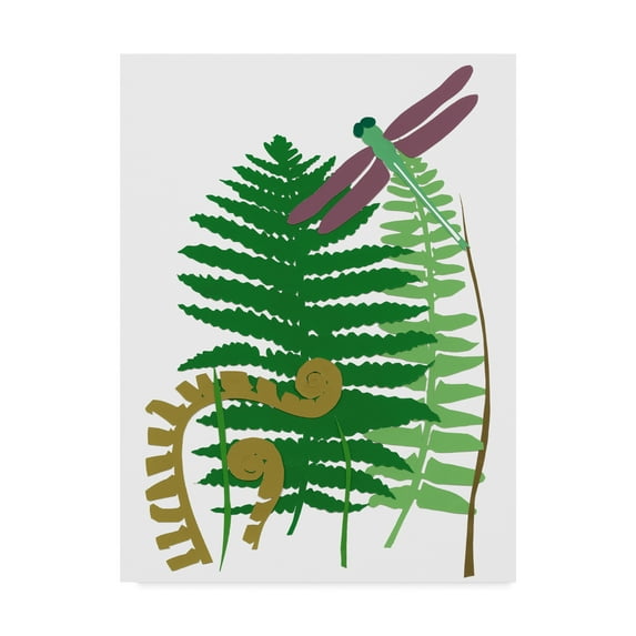 Trademark Fine Art 'Fern Fantasy Garden II' Canvas Art by Alicia Ludwig