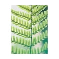thumbnail image 1 of Trademark Fine Art 'Fern Glow I' Canvas Art by Jason Johnson, 1 of 4