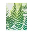 thumbnail image 1 of Trademark Fine Art 'Fern Glow IV' Canvas Art by Jason Johnson, 1 of 4