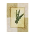 thumbnail image 1 of Trademark Fine Art 'Fern Leaf Framed 3' Canvas Art by Pablo Esteban, 1 of 3