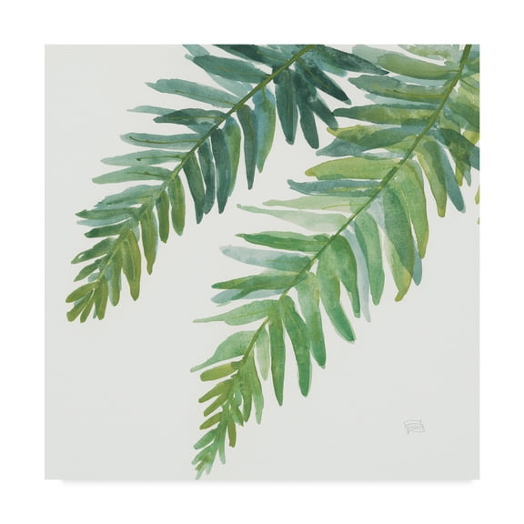 Trademark Fine Art 'Ferns Square I' Canvas Art by Chris Paschke