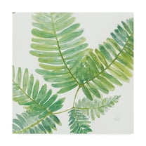 Trademark Fine Art 'Ferns Square II' Canvas Art by Chris Paschke