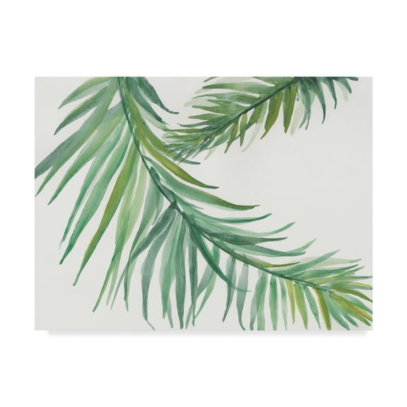 Trademark Fine Art 'Ferns Square IV' Canvas Art by Chris Paschke