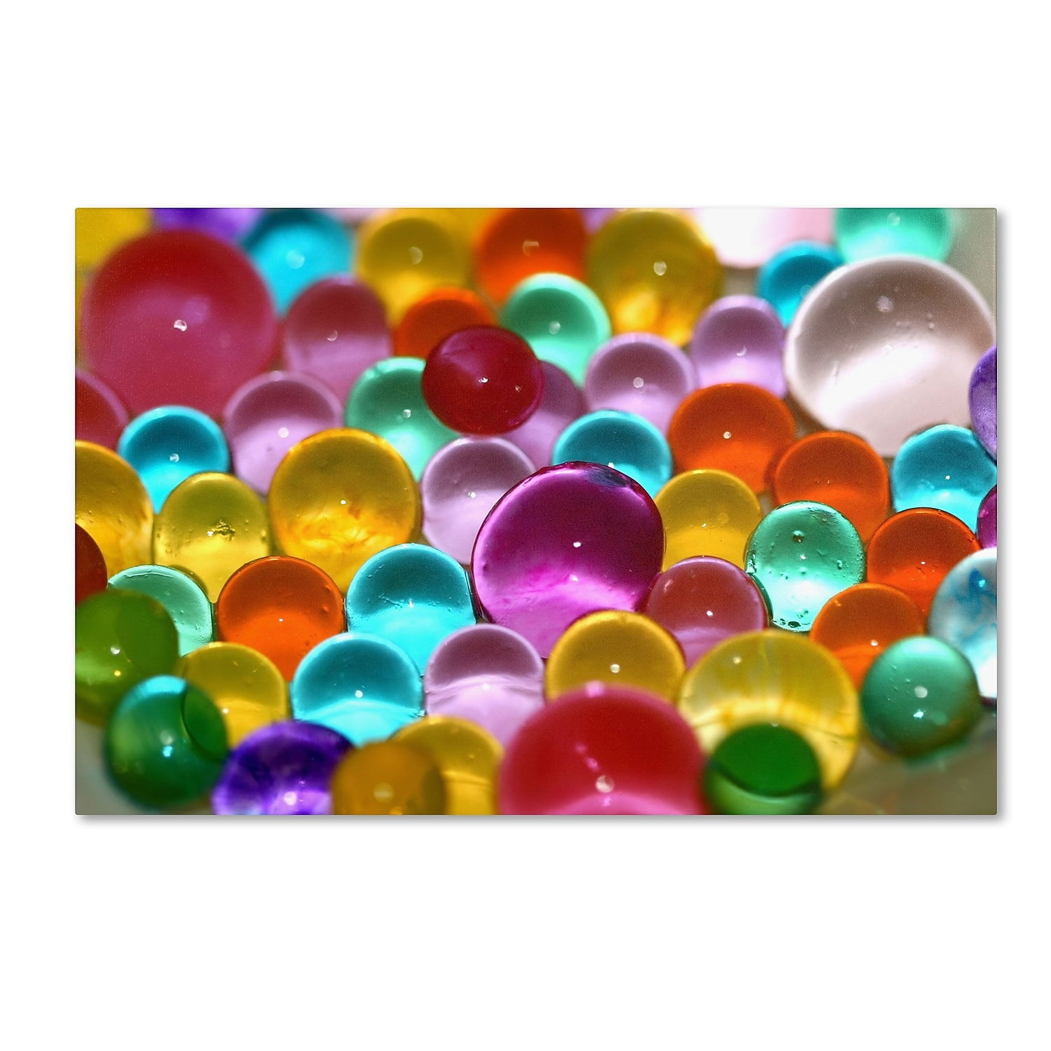 Trademark Fine Art "Festival of Colours" Canvas Art by Beata Czyzowska Young