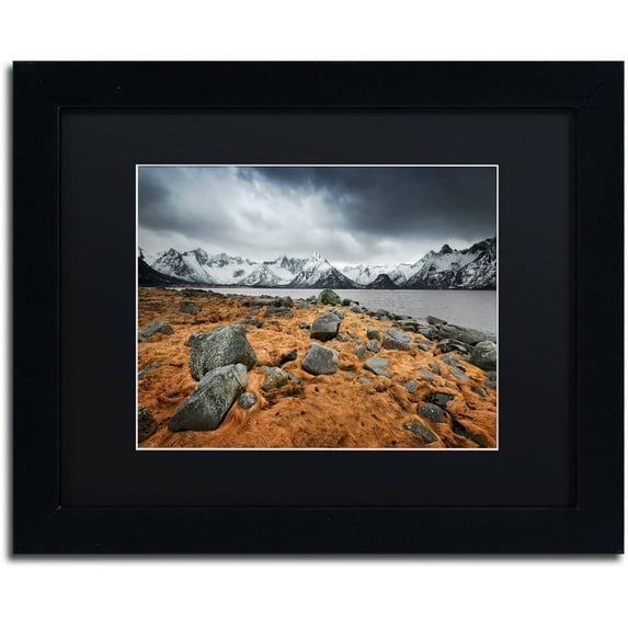 Trademark Fine Art "Fever" Canvas Art by Philippe Sainte-Laudy, Black Matte, Black Frame